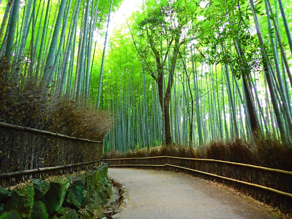 京の宿　枳殻庵 京都市 エクステリア 写真