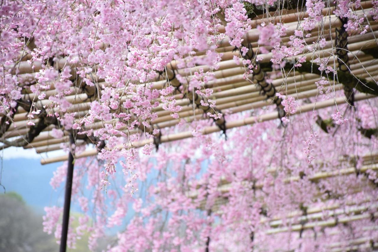 京の宿　枳殻庵 京都市 エクステリア 写真
